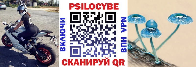Галлюциногенные грибы Magic Shrooms даркнет телеграм Чистополь