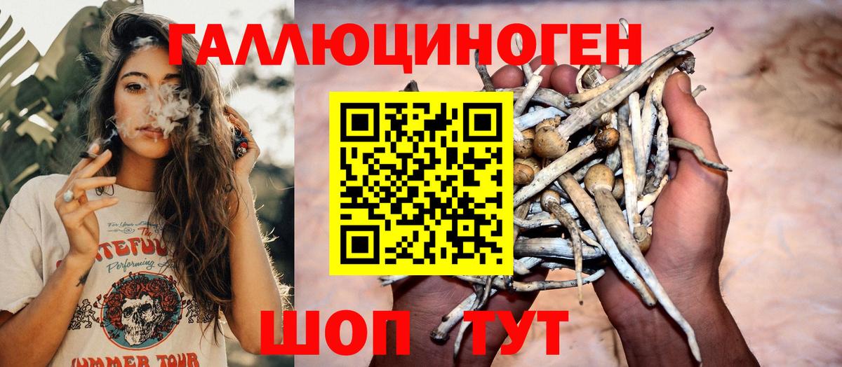 Чистополь  Псилоцибиновые грибы Psilocybine cubensis  Вход с VPN  Галлюциногенные грибы прущие грибы 