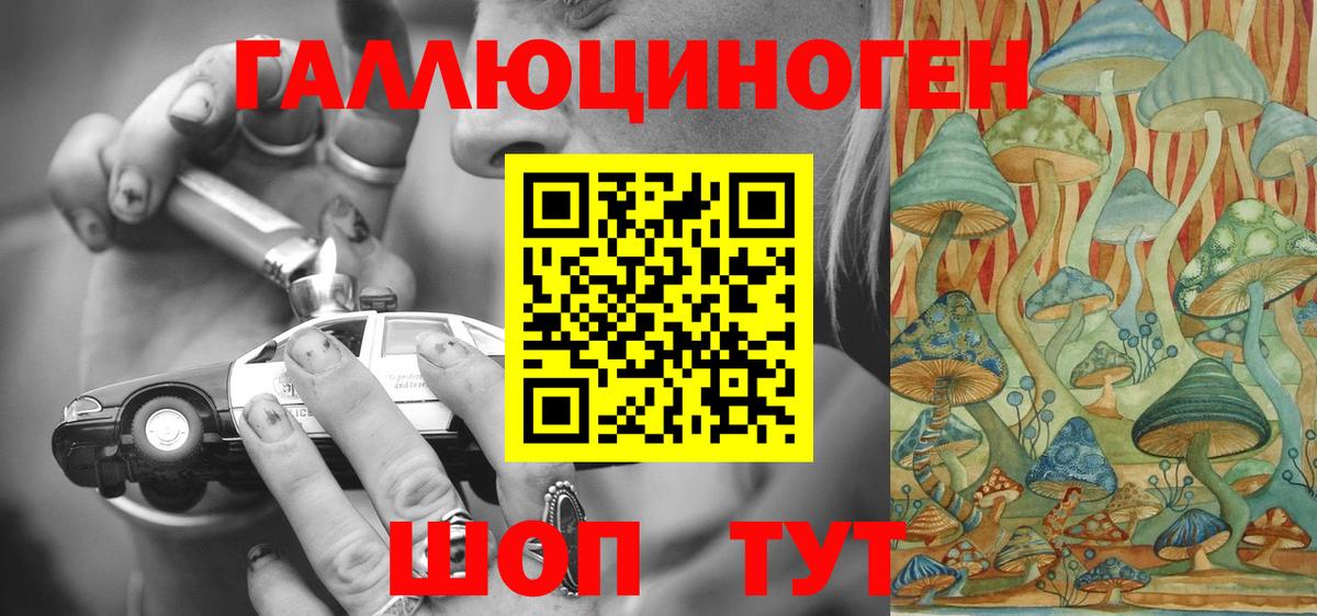 Псилоцибиновые грибы прущие грибы Чистополь