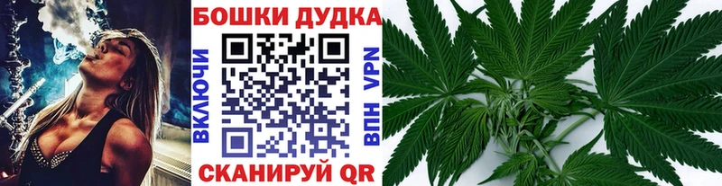 Шишки марихуана план  hydra ссылки  Чистополь 